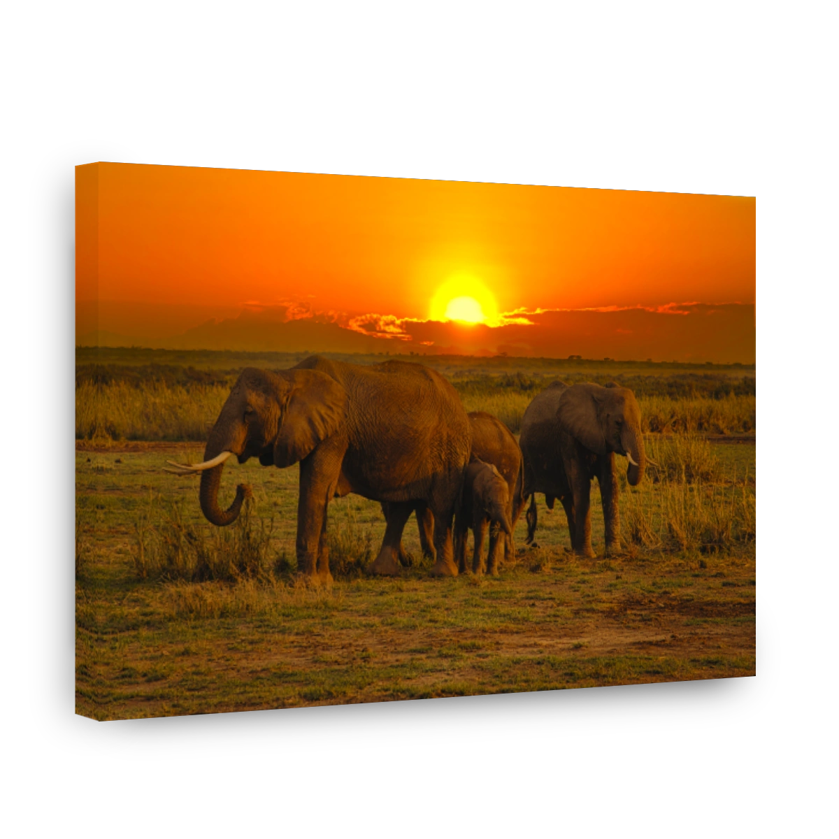 Elefanten und Sonnenuntergang im Nationalpark Tsavo Ost und Tsavo West in Kenia