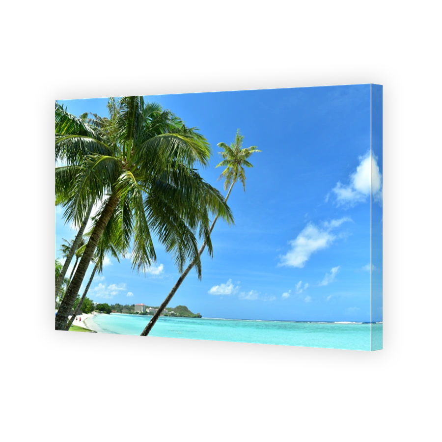 Coconut palm trees at seashore with blue sky and ocean