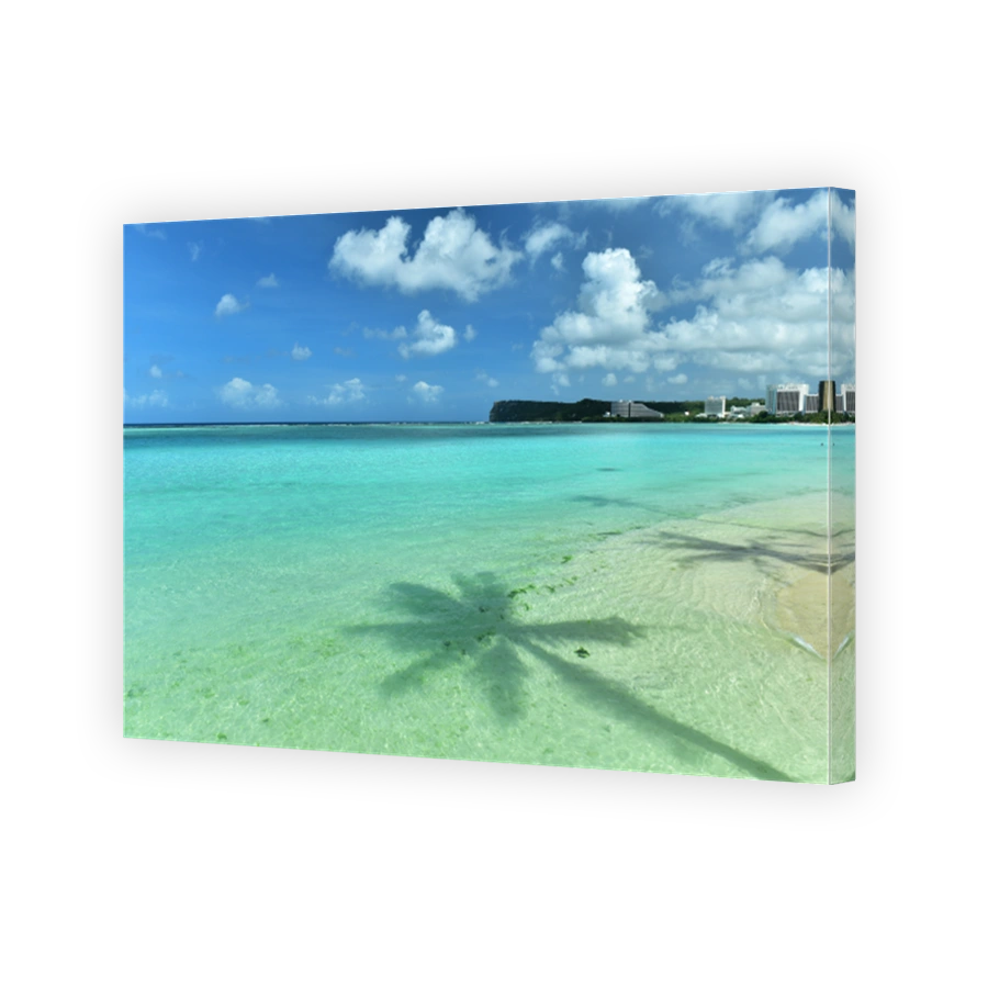 Coconut palm trees shadow on the sea surface