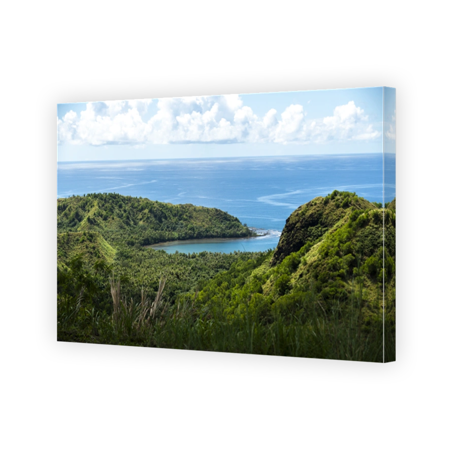 Scenic coastal view from a lush hillside overlooking tranquil waters