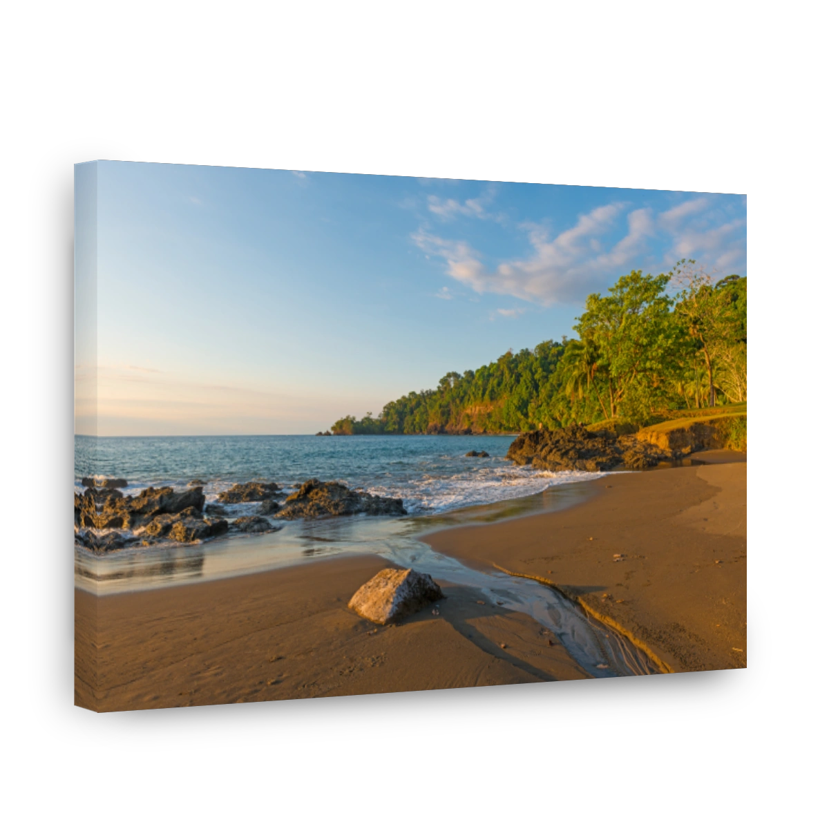 Costa Rica Jungle Sunset