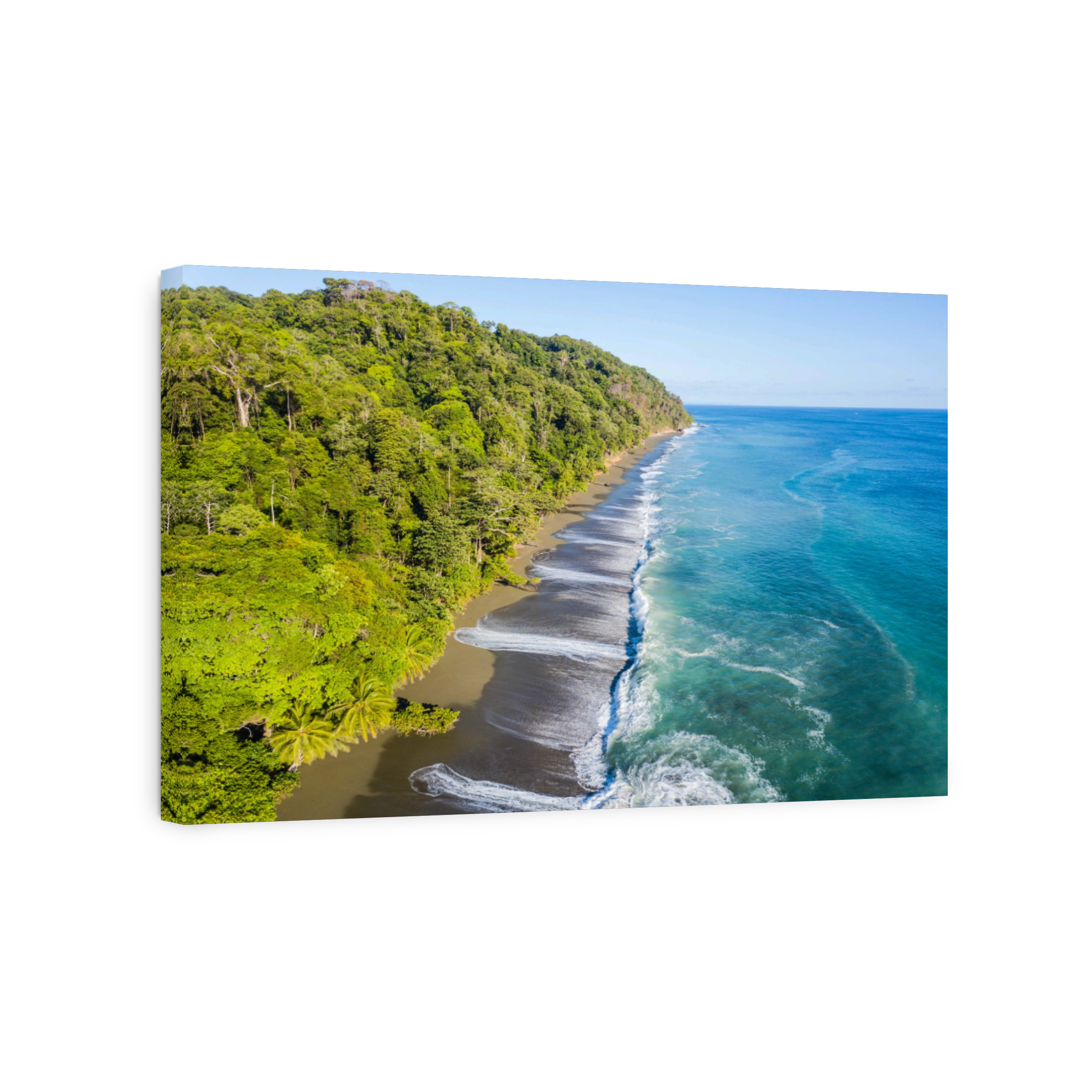 Aerial view: Corcovado National Park, Costa Rica
