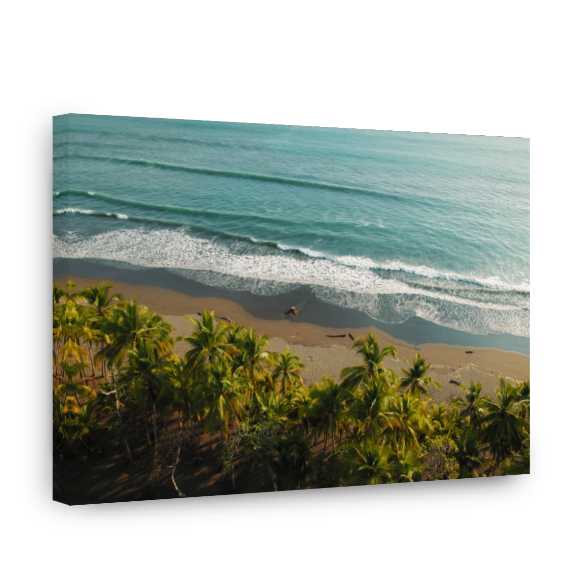 Aerial view of tropical palm beach and turquoise ocean waves