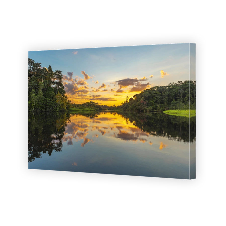 Amazon Rainforest Sunset Panorama