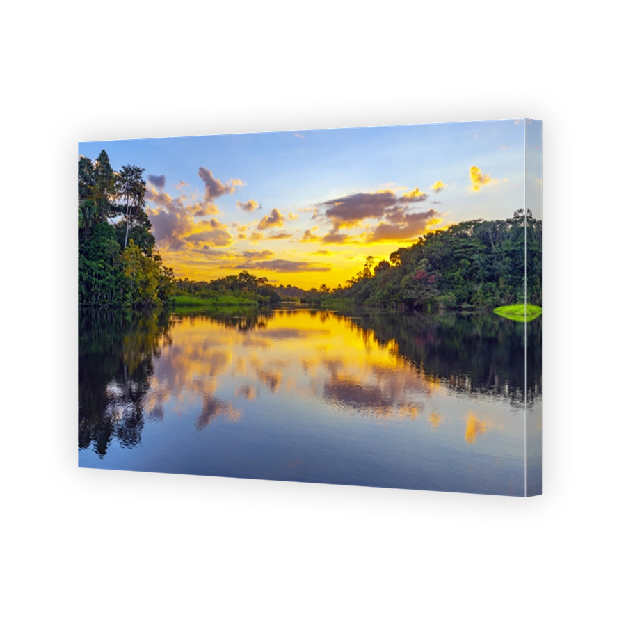 Amazon Rainforest Sunset, Ecuador