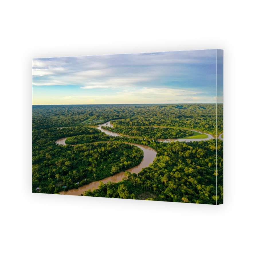 Aerial view over a tropical forest with a river meandering through the canopy and a clouded sky with room for copyspace