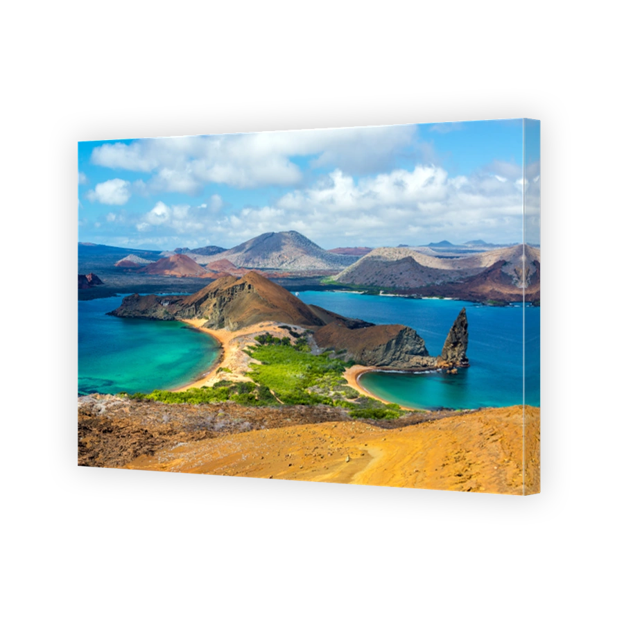 View from Bartolome Island