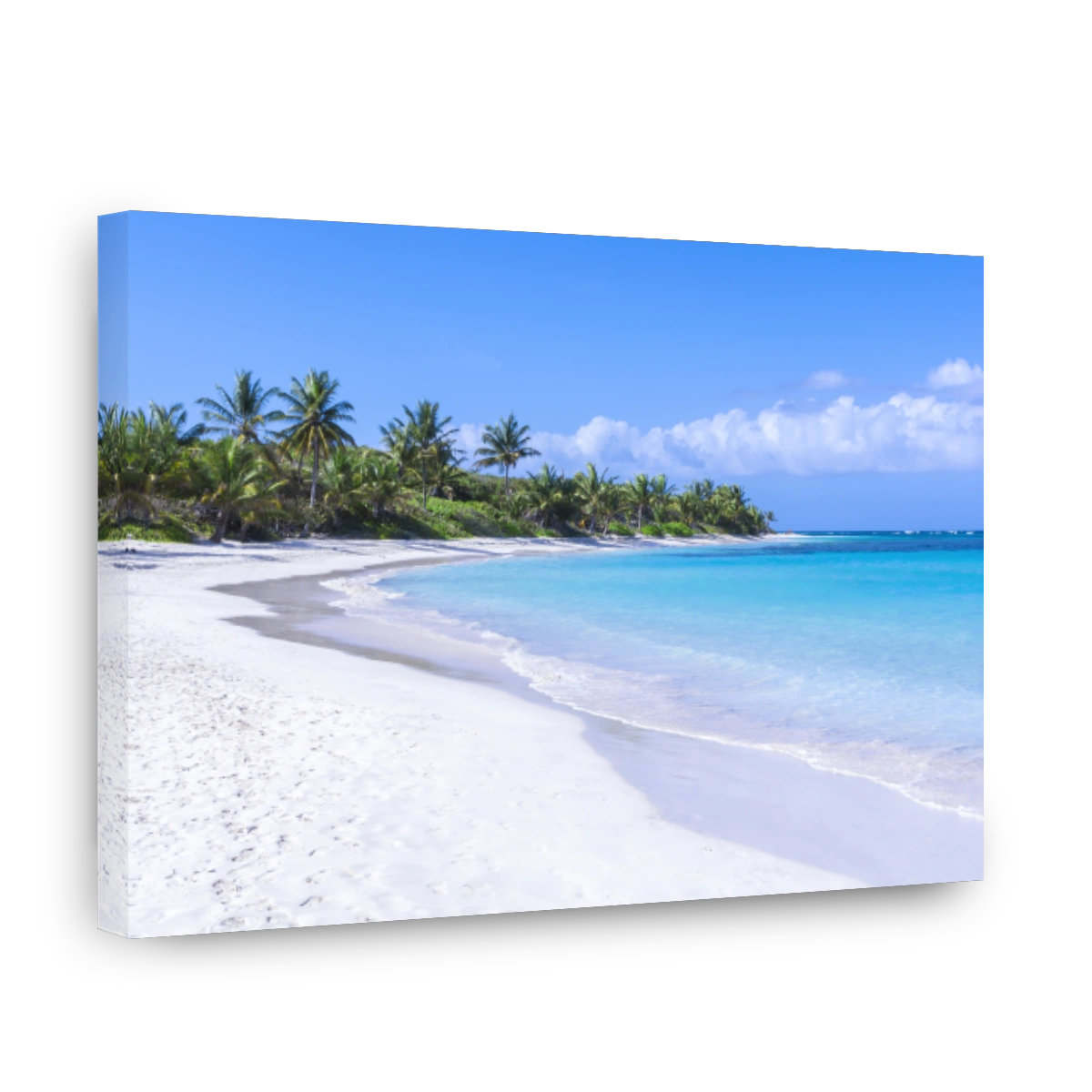 Beautiful white sand Caribbean beach