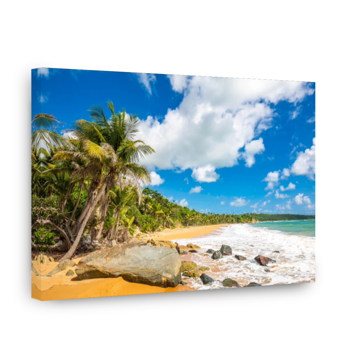 Exotic carribean shore of Puerto Rico Flamenco beach