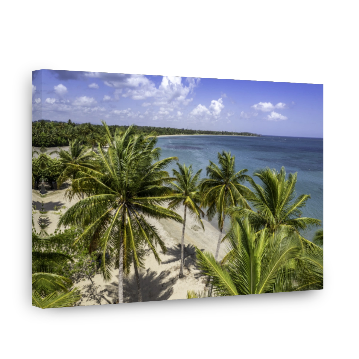Dorado Beach, Puerto Rico