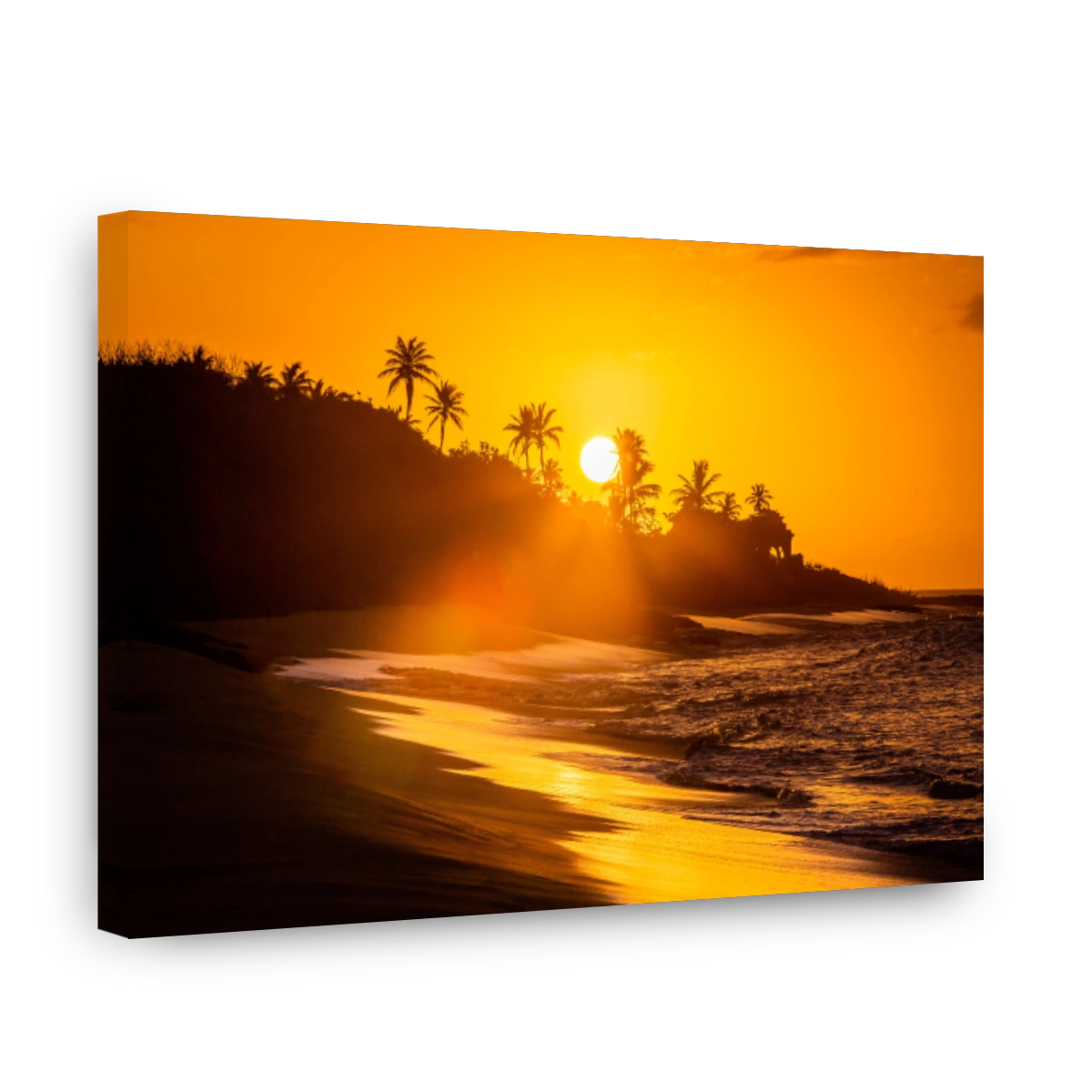 Tropical sunset at the beach with palms