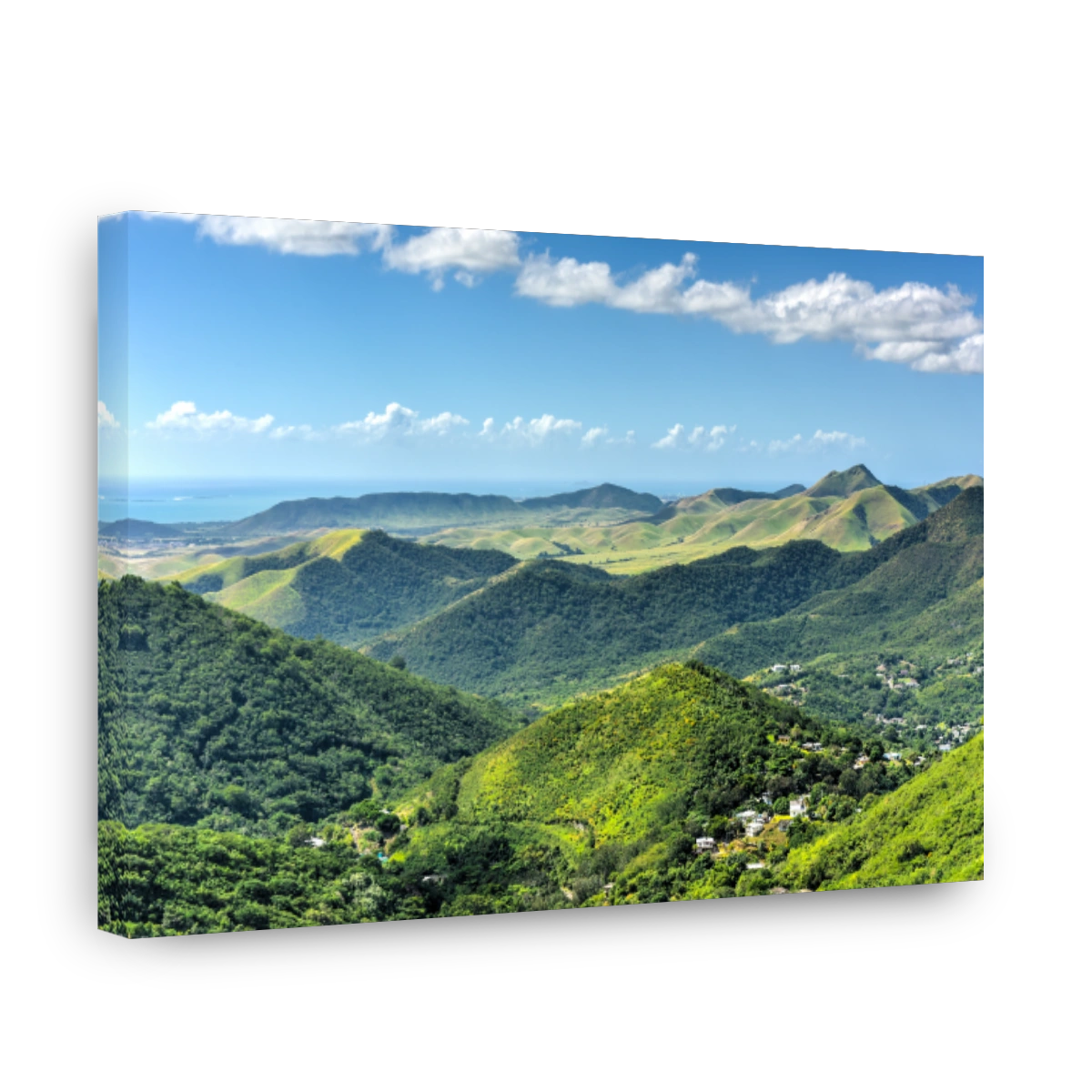 Salinas Landscape, Puerto Rico