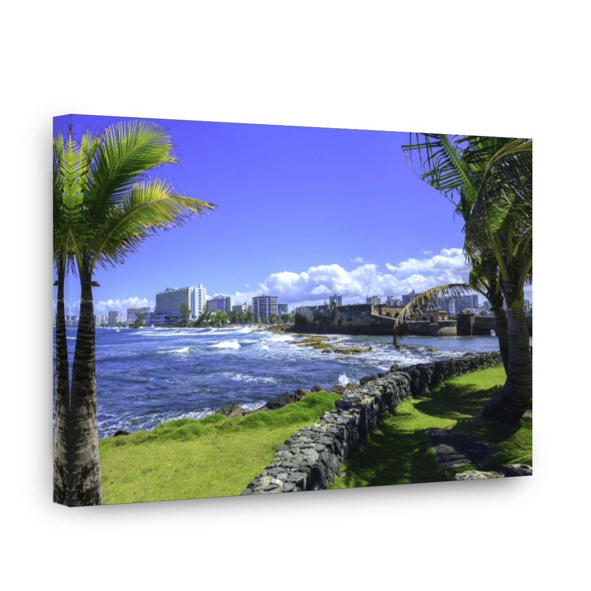 Seascape with Palm Trees, curved volcanic stone walls, green garden, coastal buildings, and floating white clouds at Sunrise in San Juan, Puerto Rico, tranquil beauty on Condado Beach
