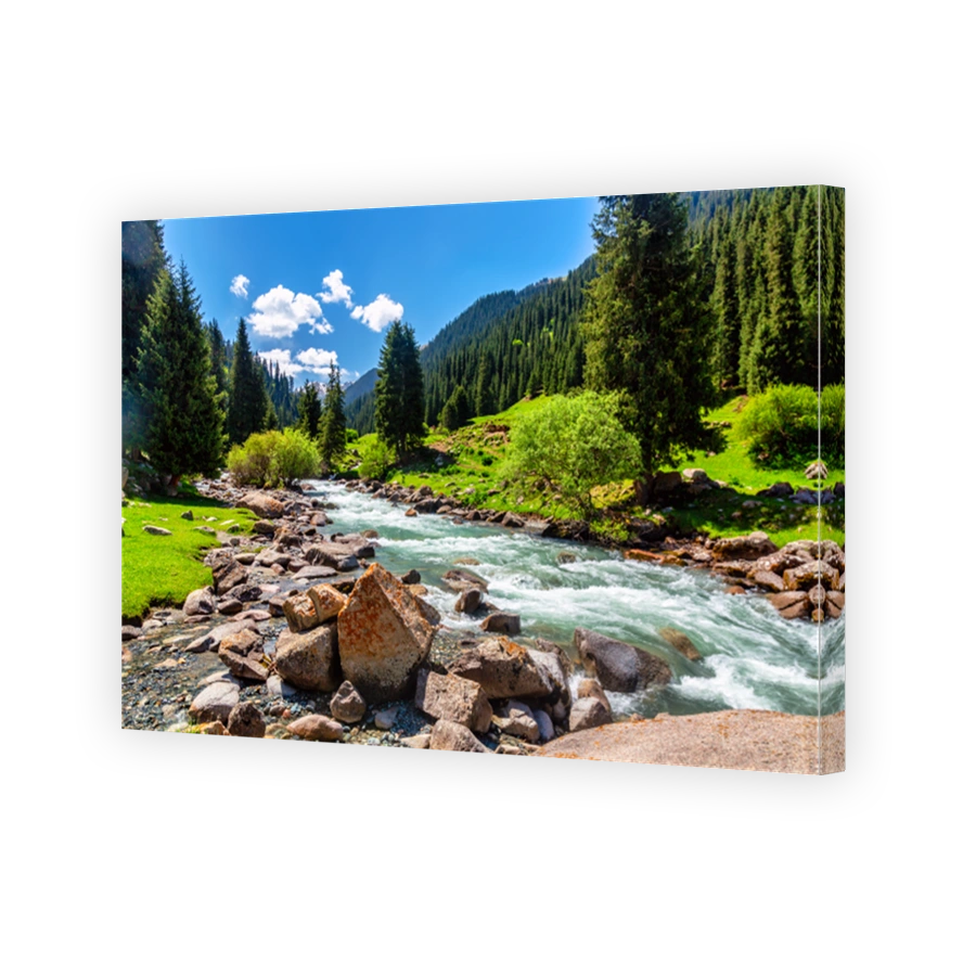 Kyrgyzstan landscape. Beautiful sunny day in Altyn Arashan valley with pines, river and mountains.
