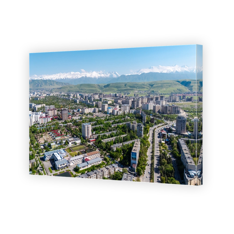 Bishkek Cityscape in Spring with Snowy Mountains