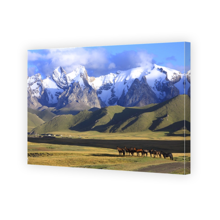 horse and mountains