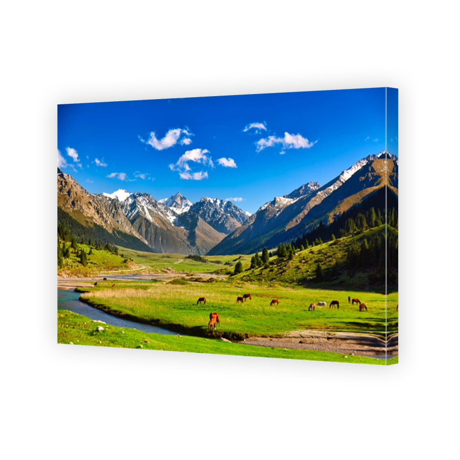 Kyrgyzstan nature landscape. Beautiful green alpine meadows with horses and river against Tien-Shan mountains in Kyrgyzstan.