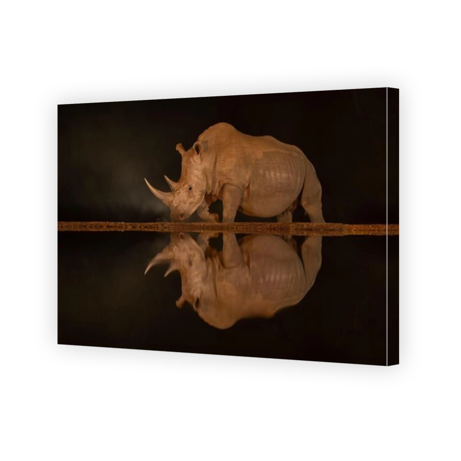 Male white rhino passes waterhole at night