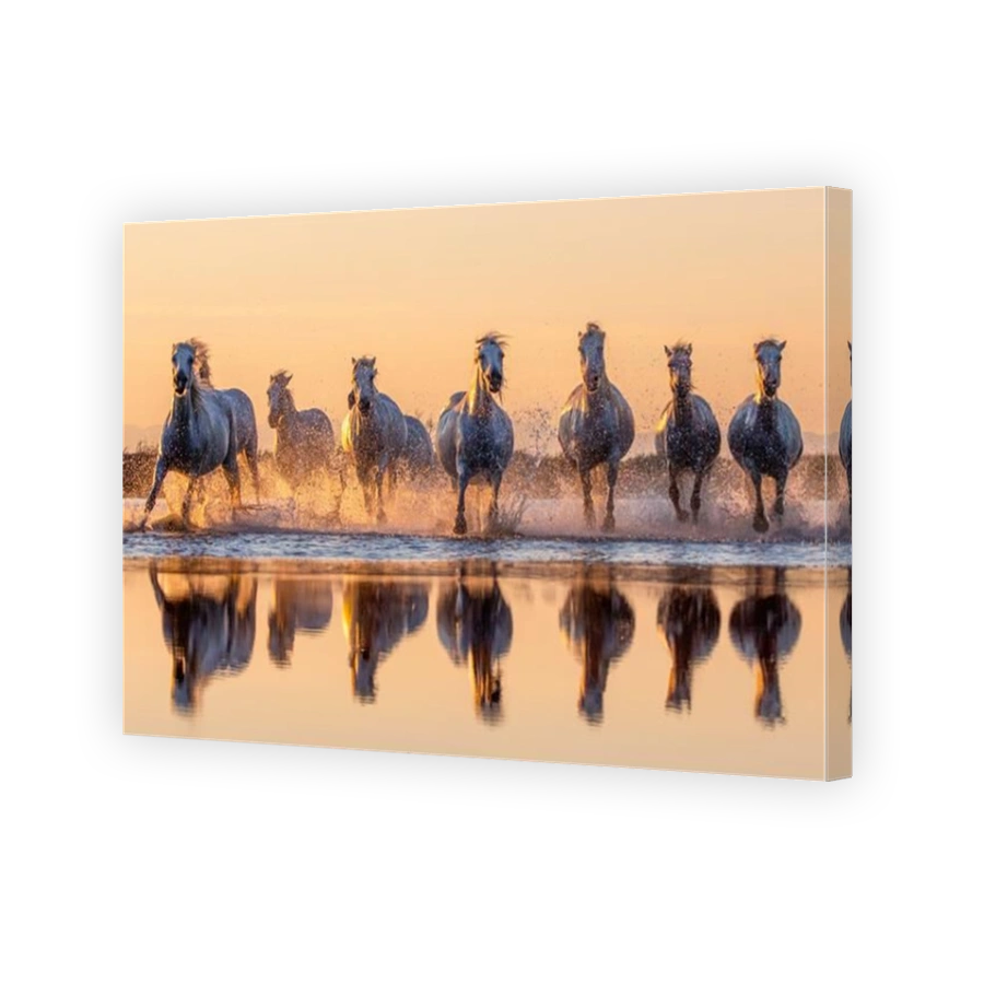 Sunset in Camargue, horses on the sea shore