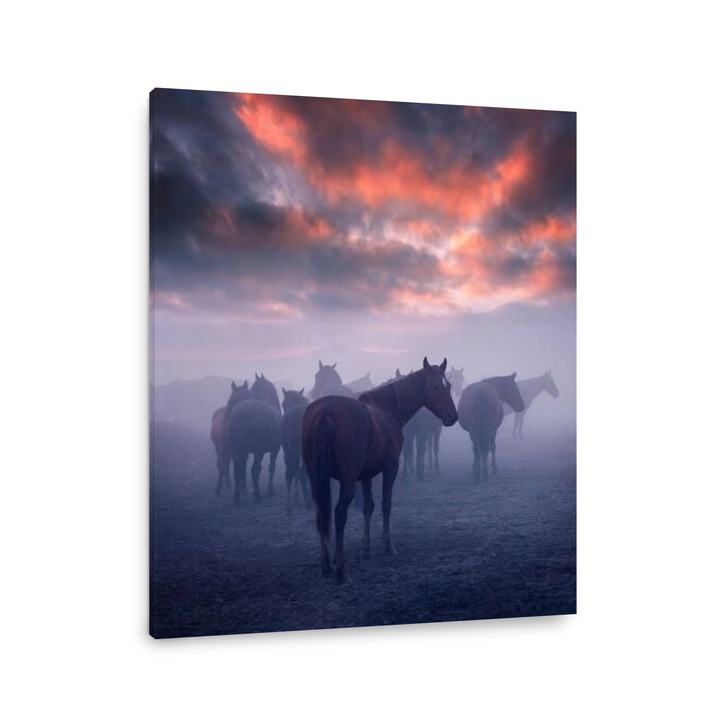 Mysterious horses in a misty landscape