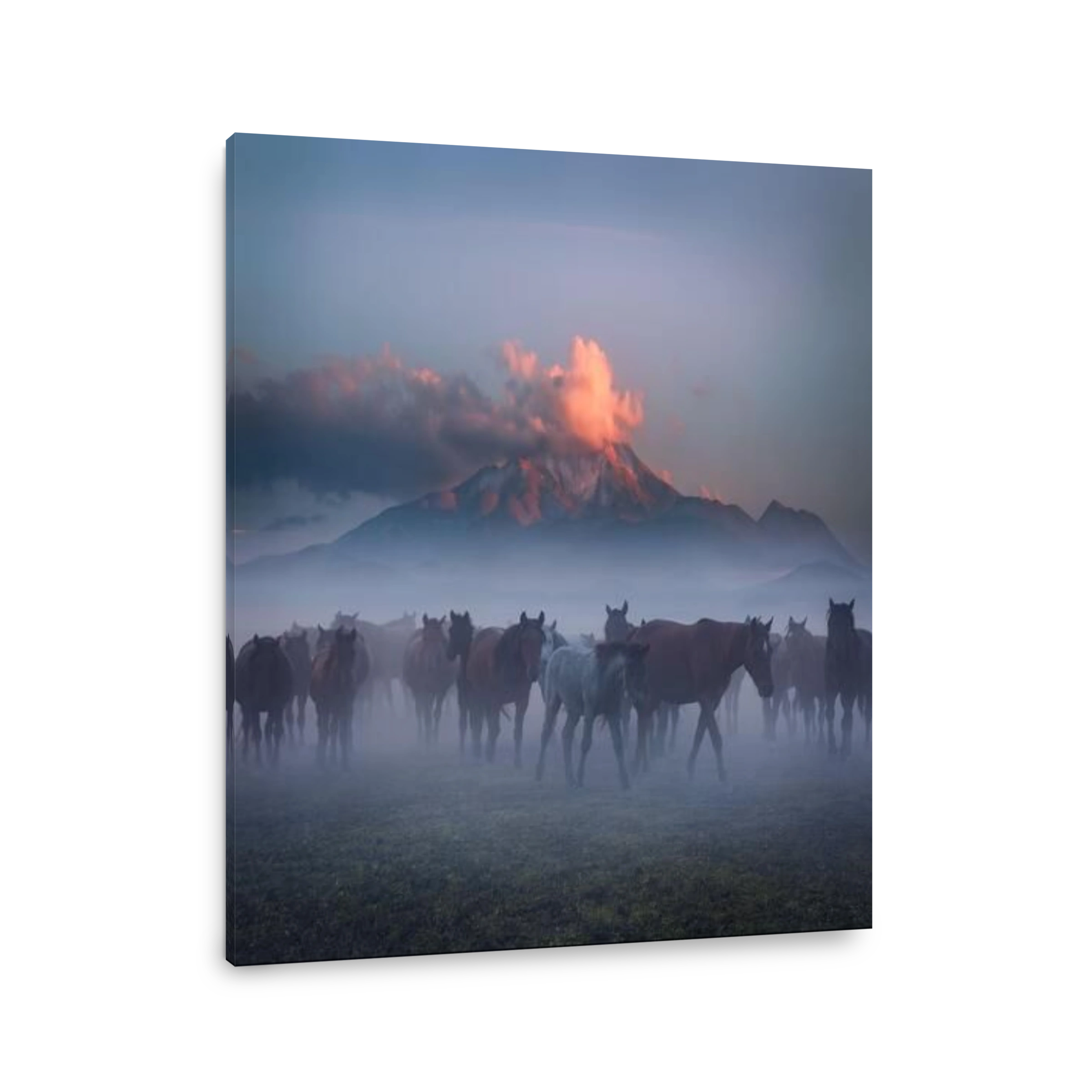 Mystical horses at Mount Erciyes at dawn