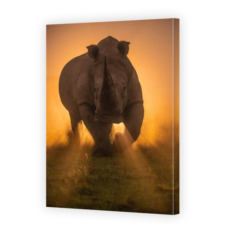 Rhino running through misty sunrise in Kenya