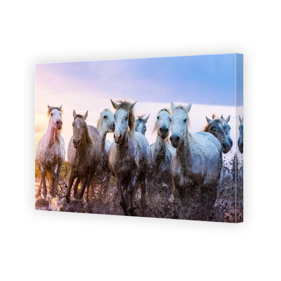 Horses galloping through mud at sunset
