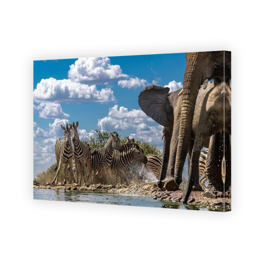 Elephants and Zebras at a Waterhole in Madikwe Game Reserve