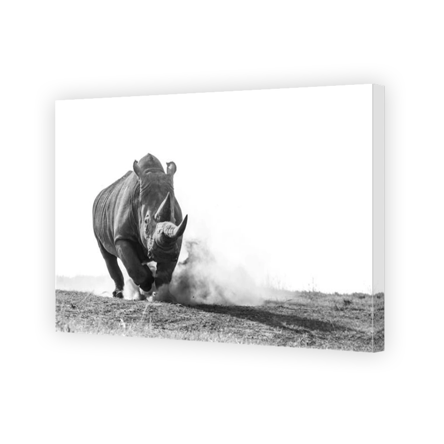 Powerful Rhino Charging Through Dust