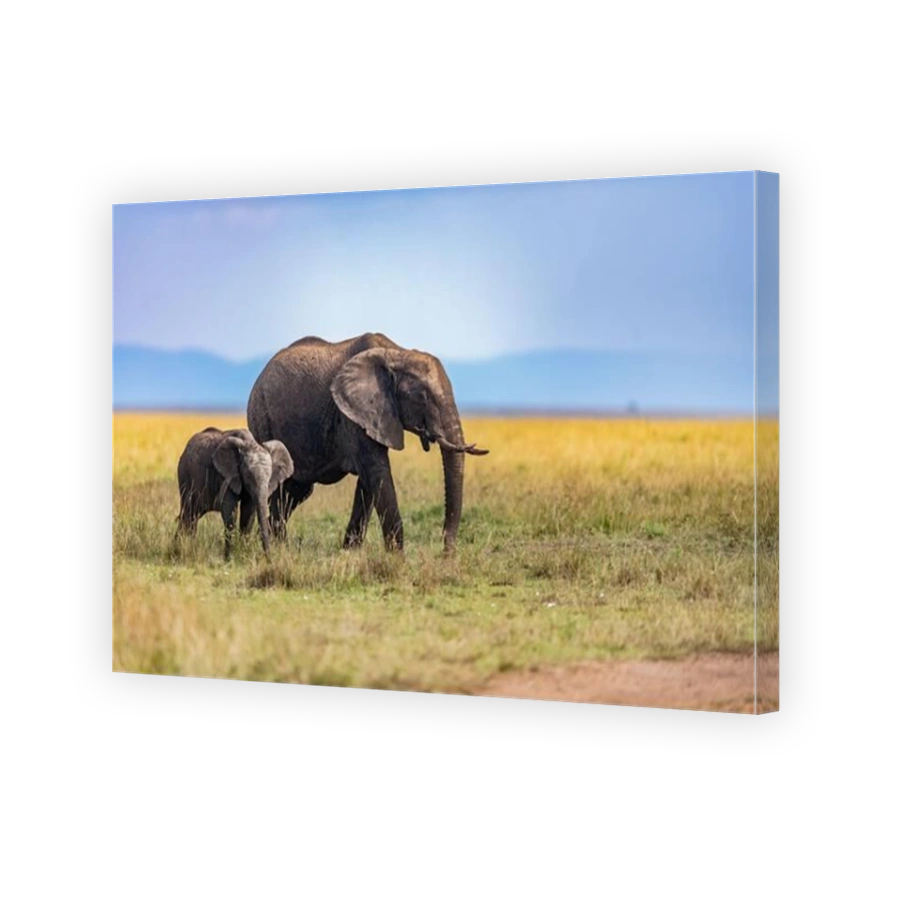 Elephants in Amboseli National Park with Mount Kilimanjaro