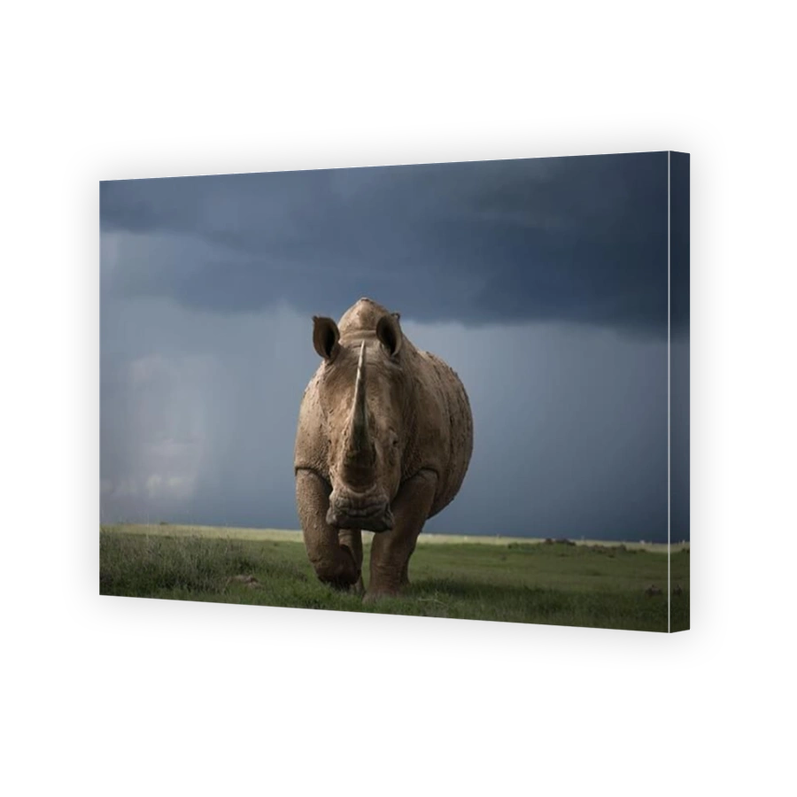 Rhinoceros charging through a stormy landscape