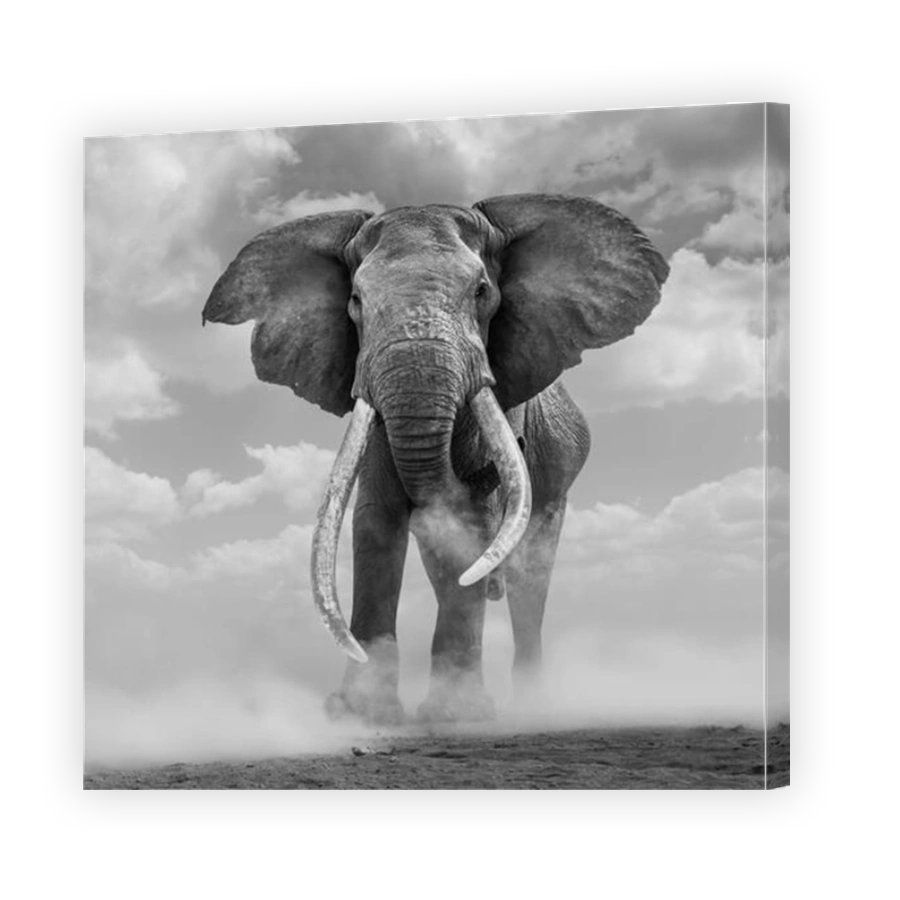 Majestic Elephant in a Dust Cloud