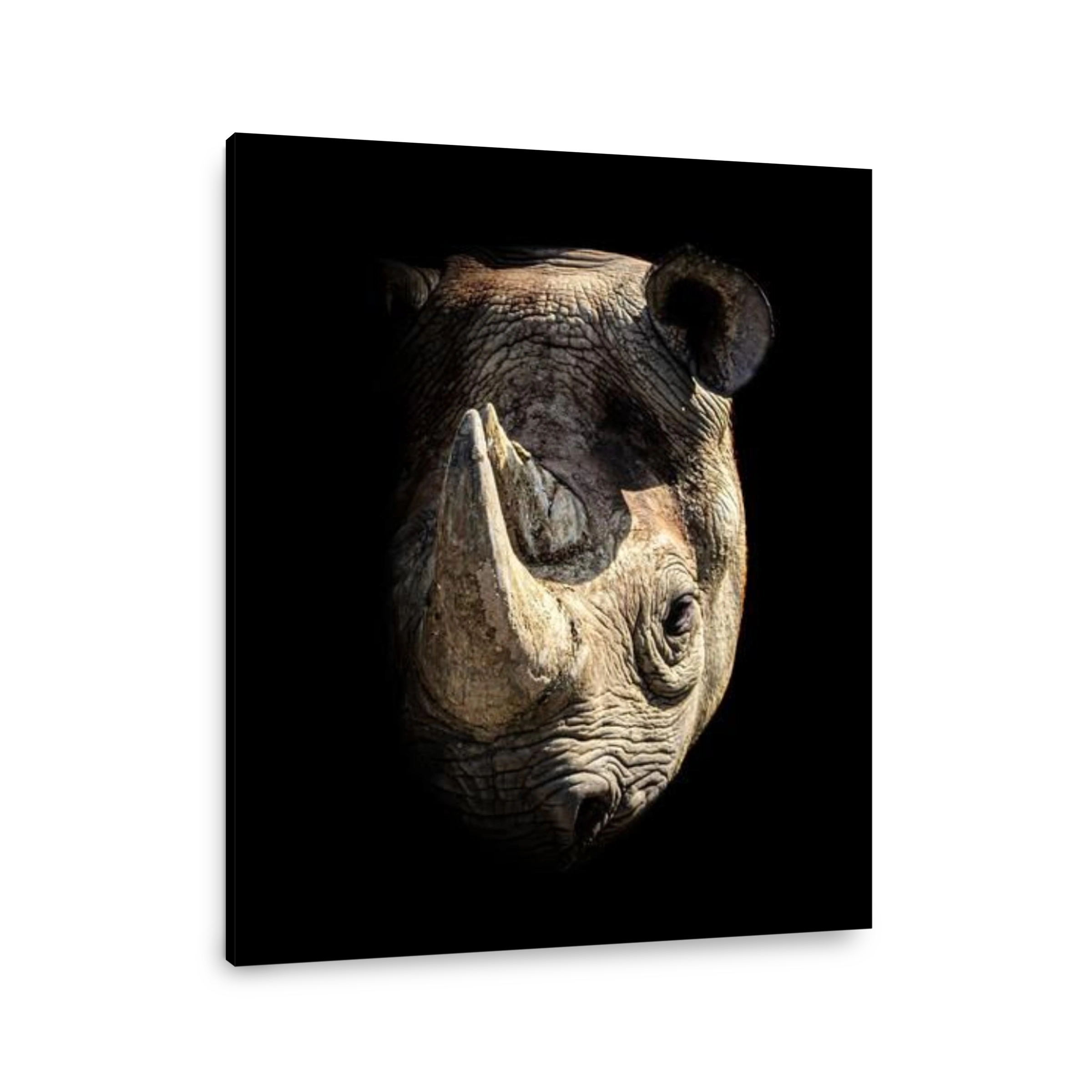A stunning portrait of a rhino. FLAMINGO LAND, MALTON, UK. These British animals show just how striking our native population of captive critters can