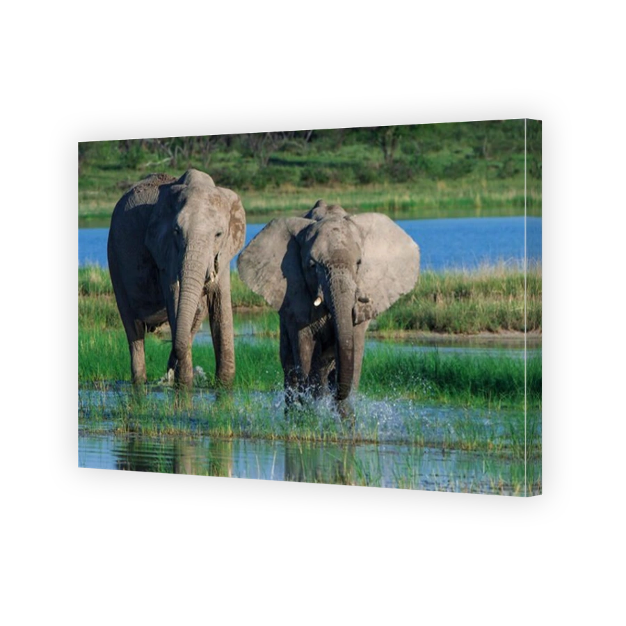 African elephants (Loxodonta africana) at the Namutoni waterhole, Etosha National Park, Namibia