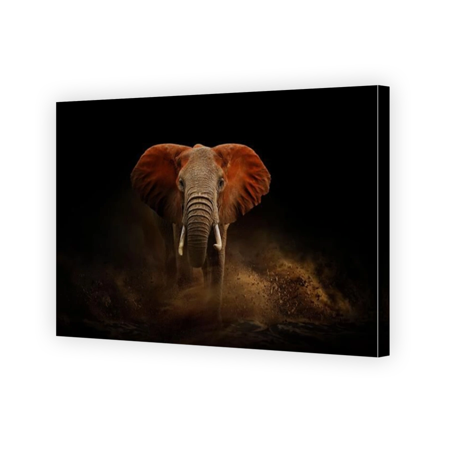 Amazing African elephant with dust and sand on black background. A large animal runs towards the camera. Wildlife scene. Loxodonta africana