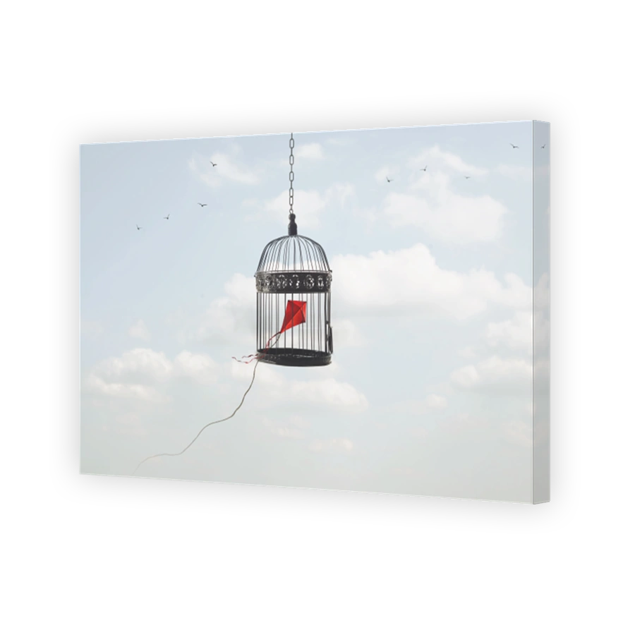 kite imprisoned in a cage in the sky; concept of taking away freedom