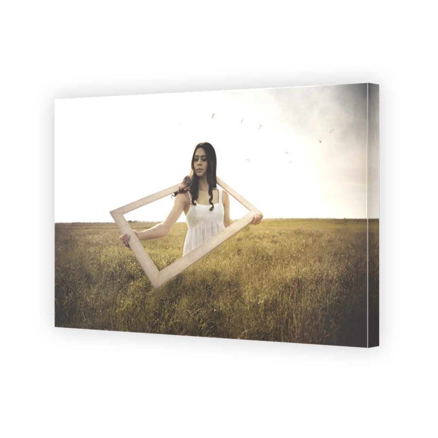 surreal image of a woman disappearing inside a frame, abstract concept