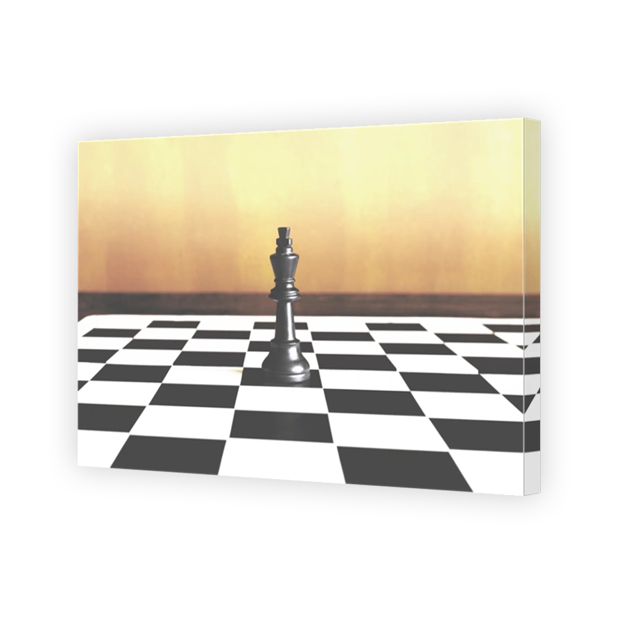 lone king has absolute power on the chessboard