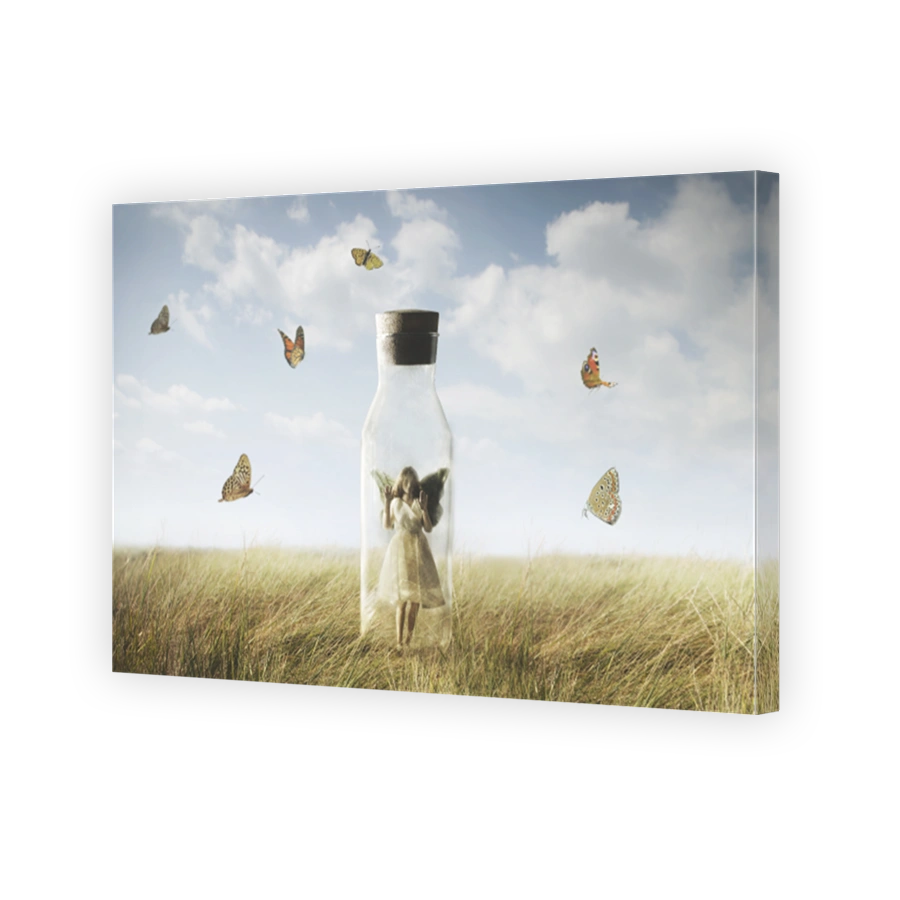 the surreal butterfly woman looking at the freedom enclosed in a bottle, abstract concept