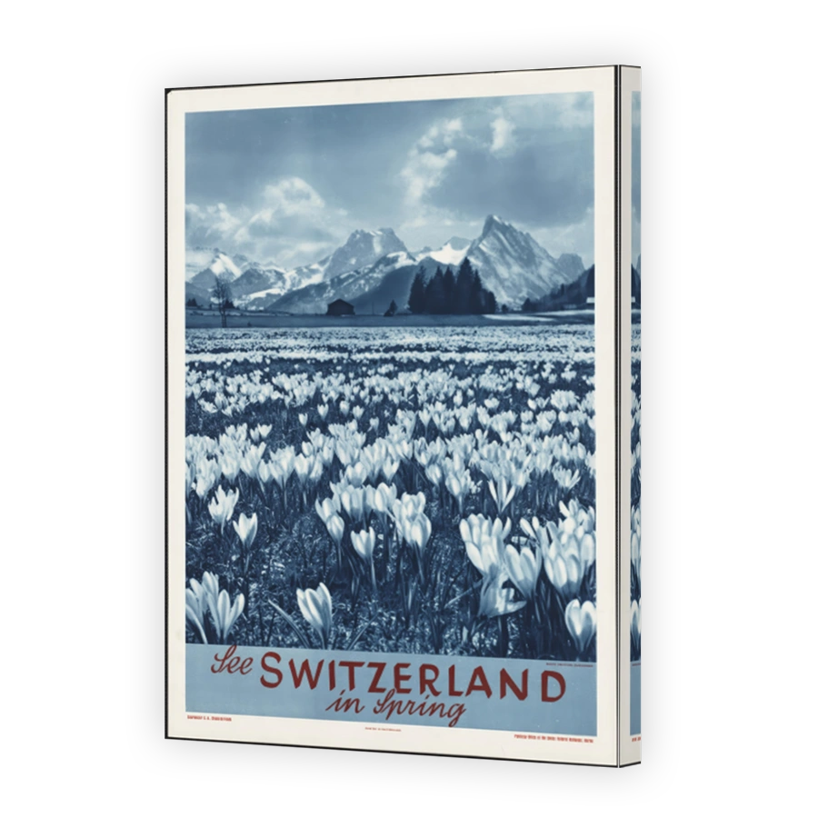 Tp2004    See Switzerland In Spring