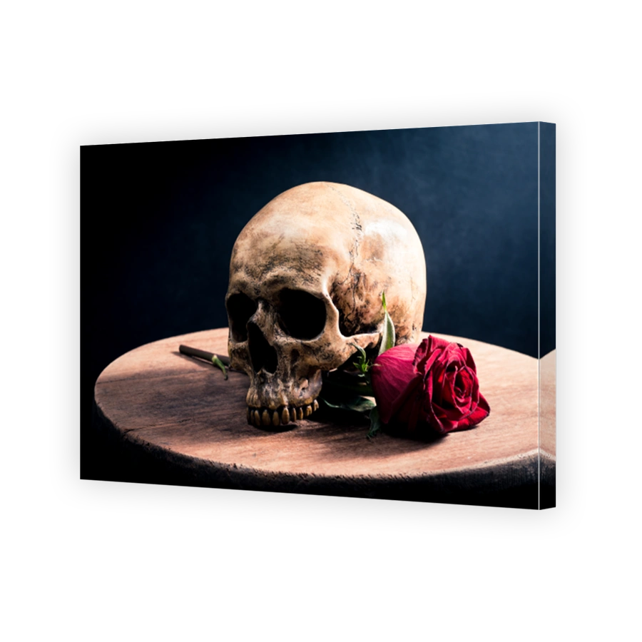 Human skull and red roses flower on old wooden table with dark background