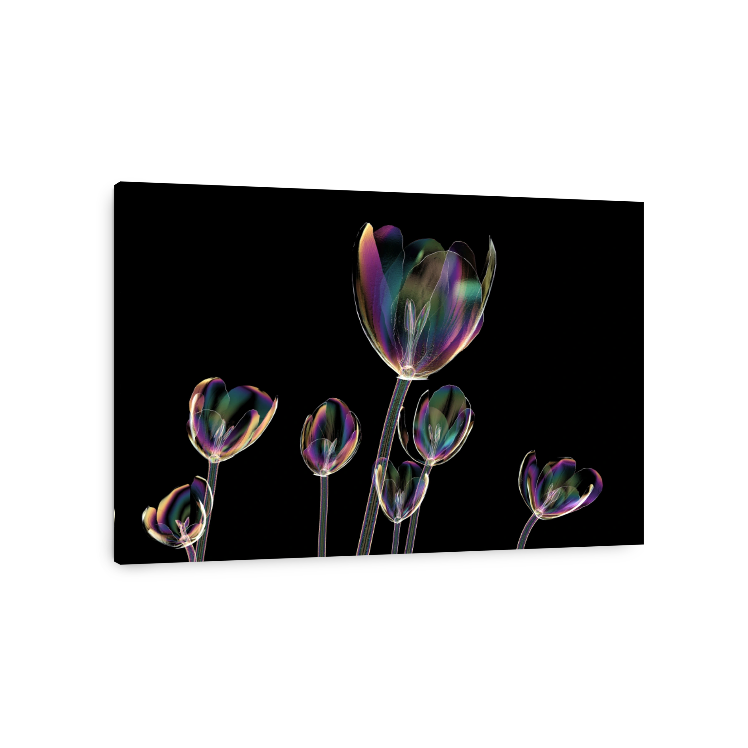color glass flower isolated on black , the crocus