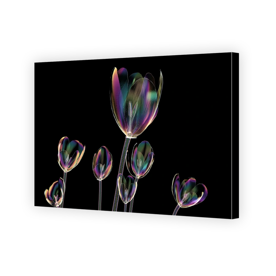 color glass flower isolated on black , the crocus