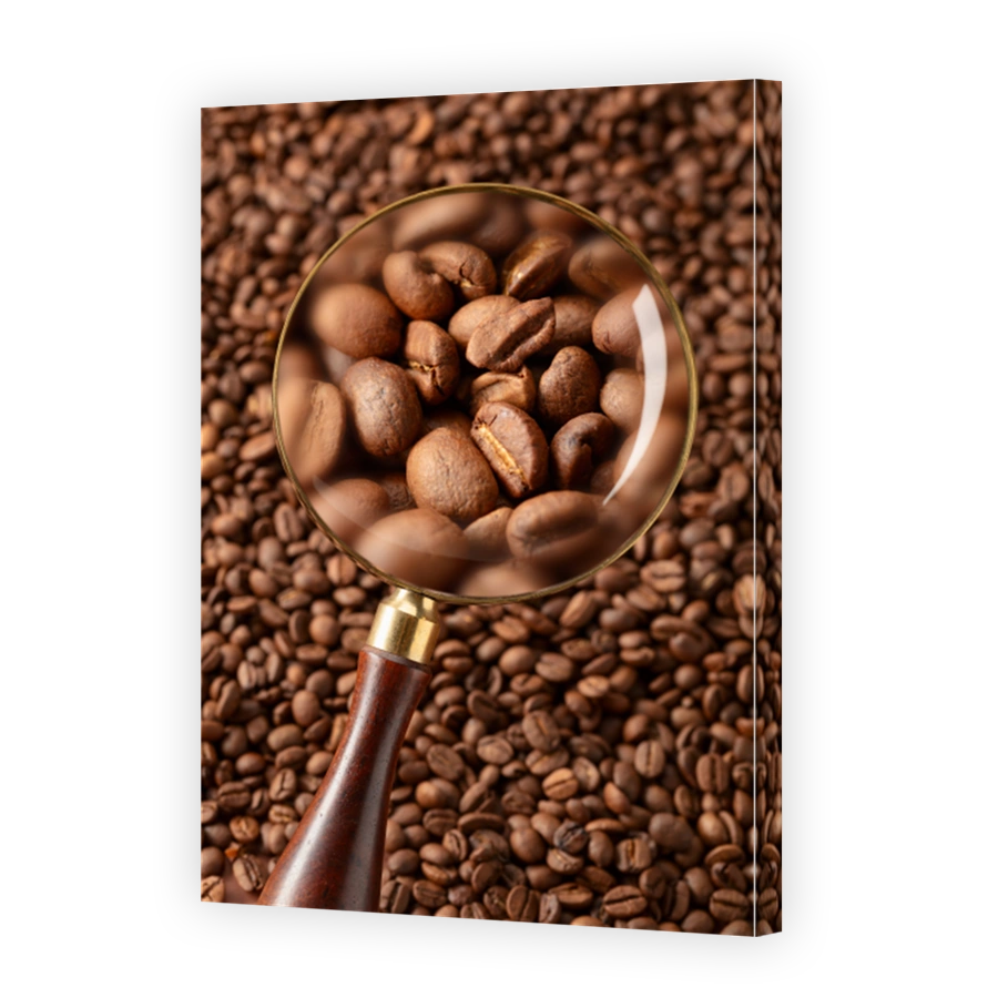 Coffee beans under a magnifying glass.