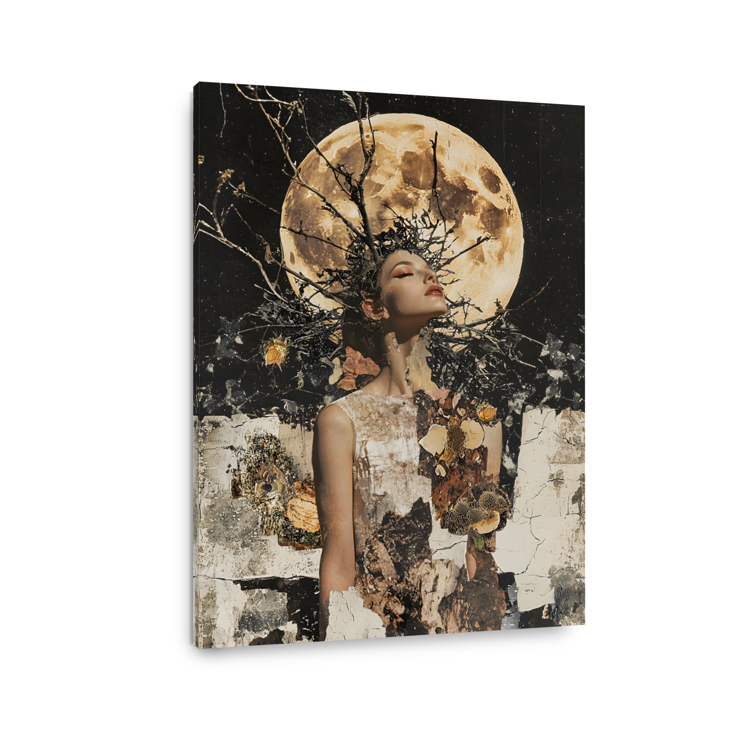 Surreal Woman with Lunar Surroundings Collage