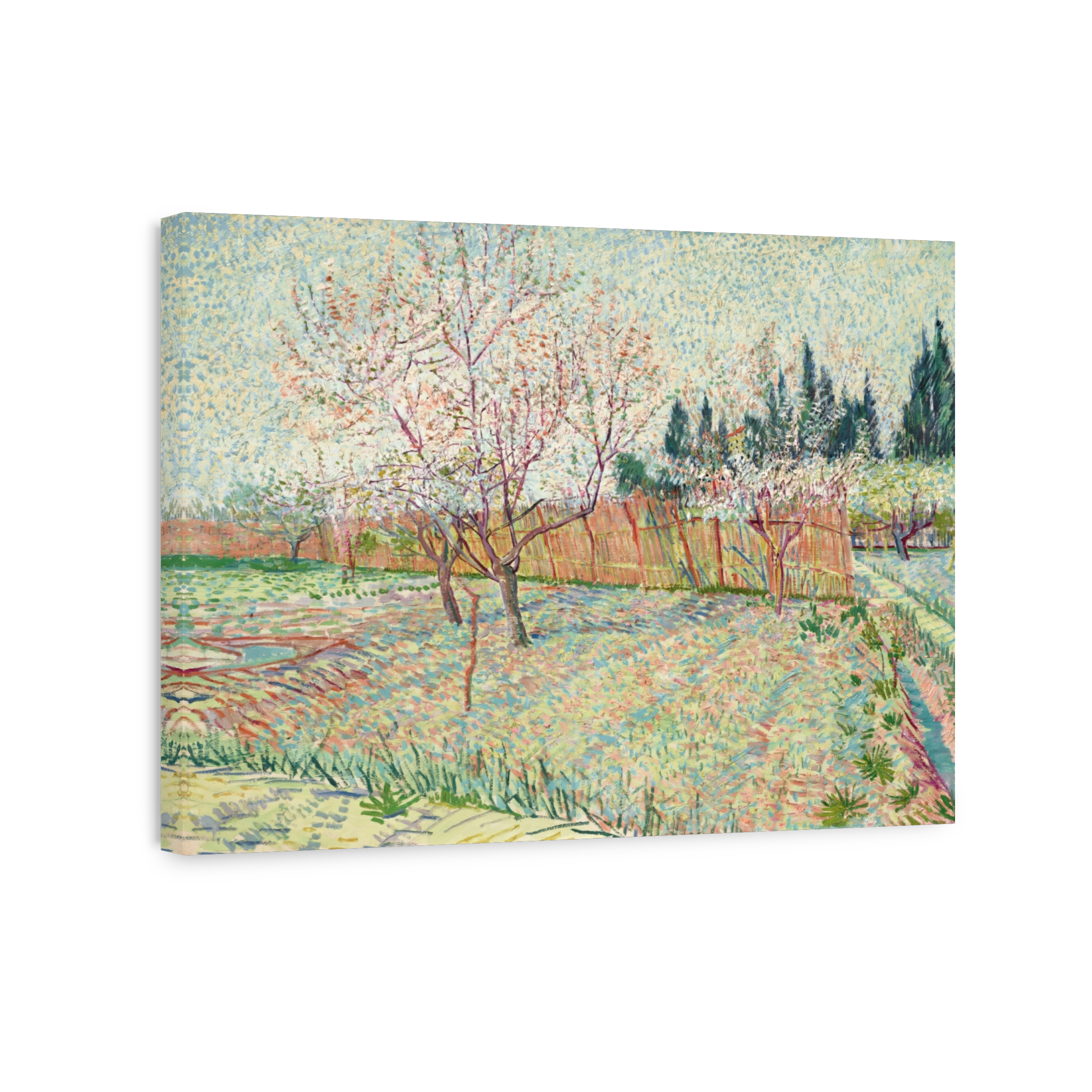 Verger Avec Cyprès (1888)