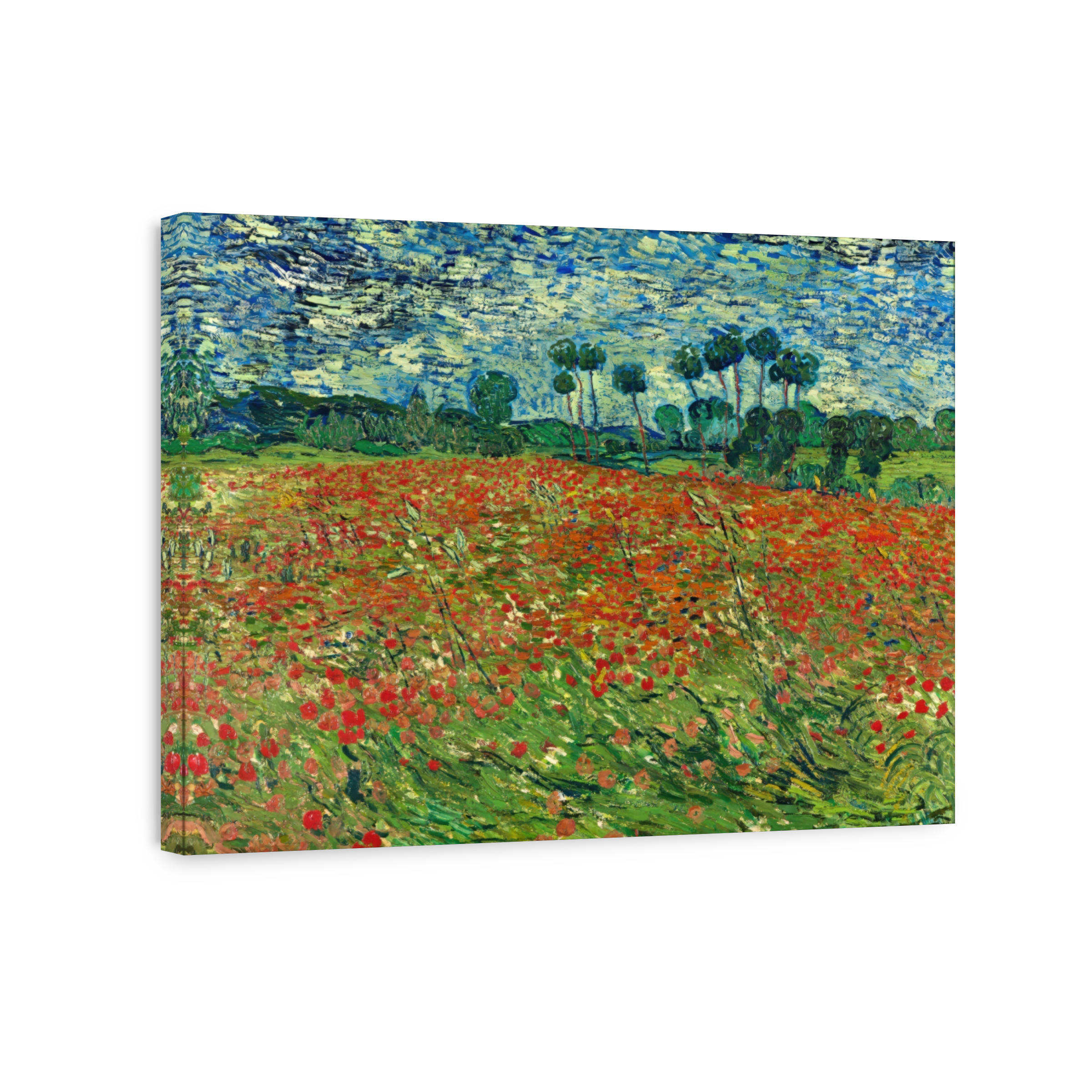 Poppy Field