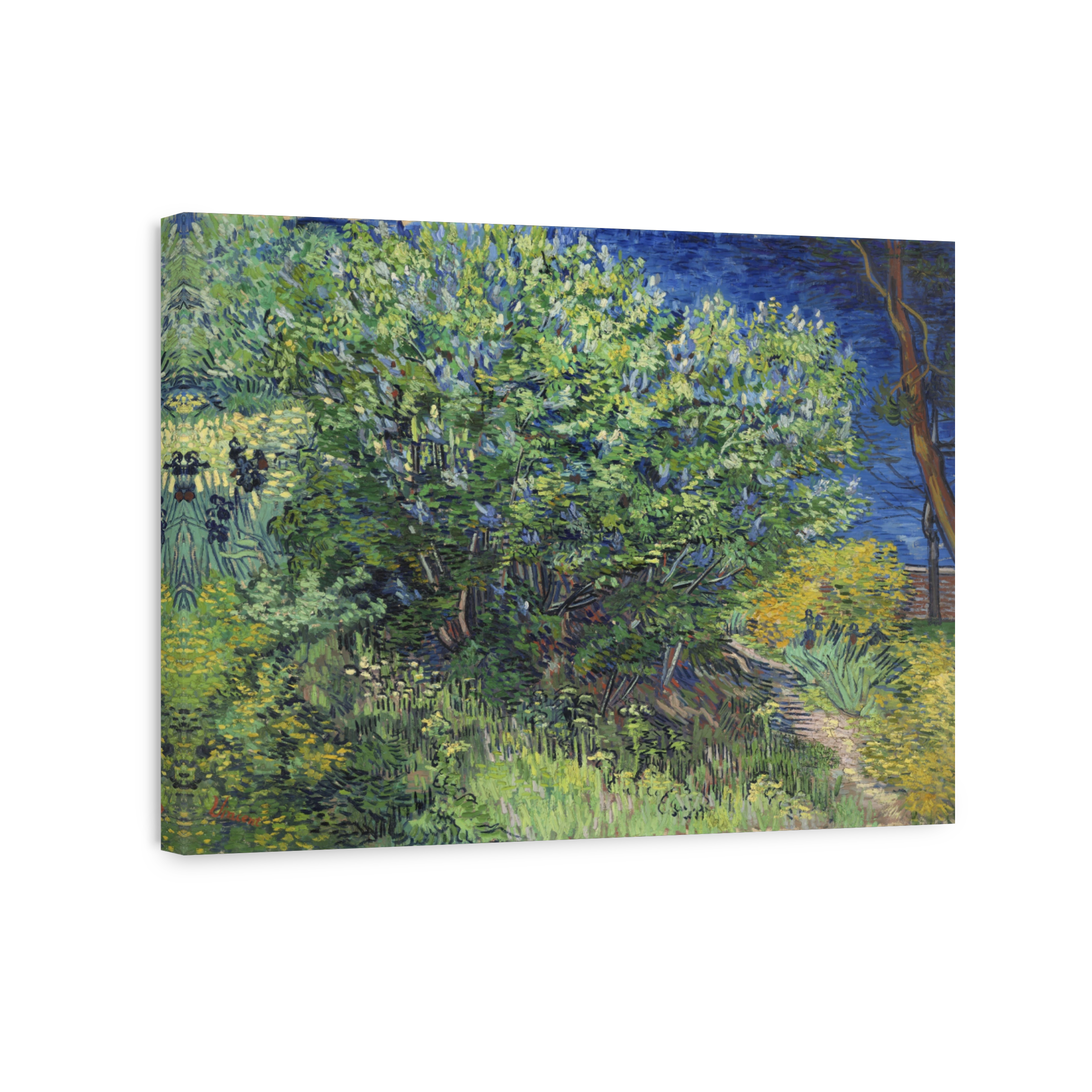 Lilac Bush (1889)