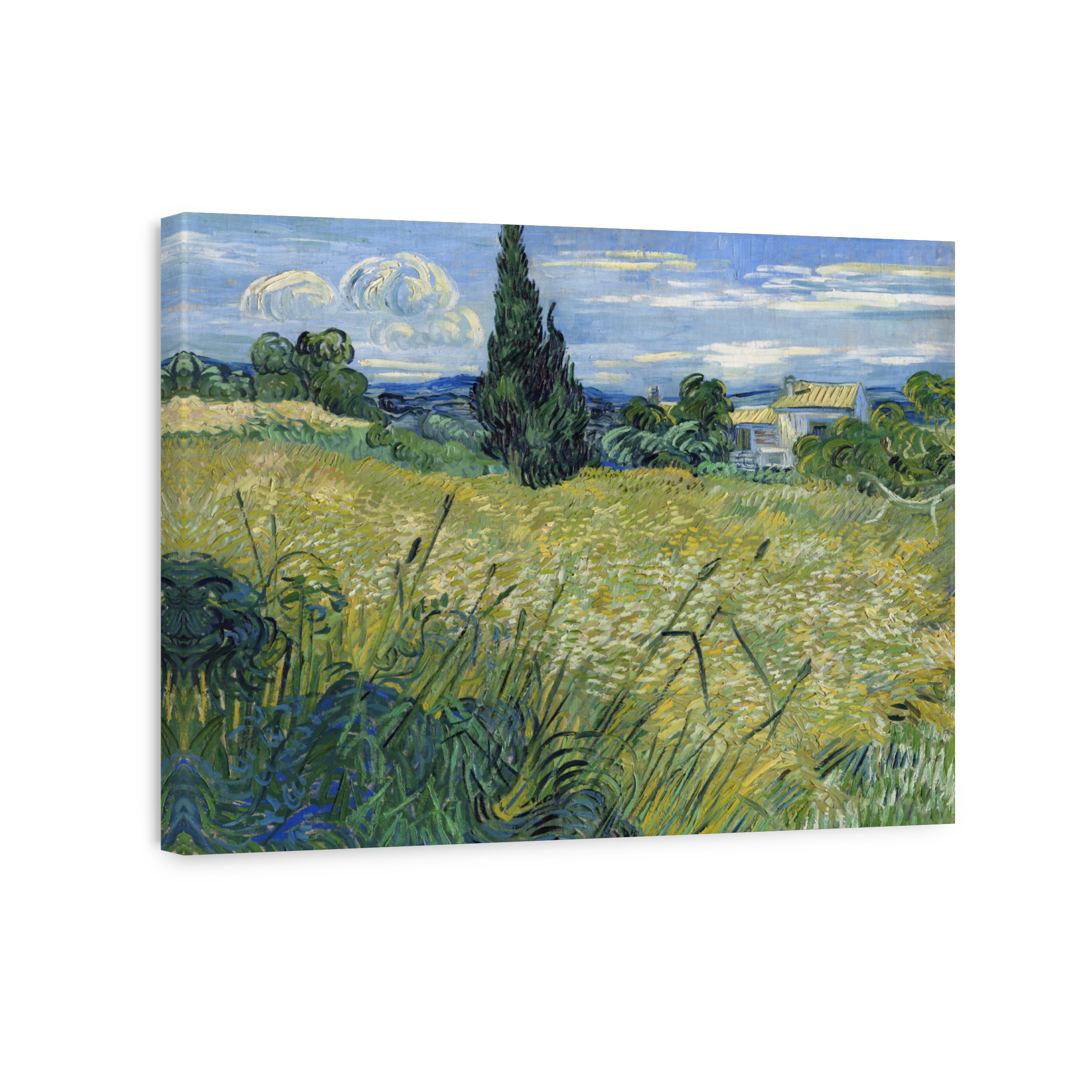 Green Wheat Field With Cypress (1889)