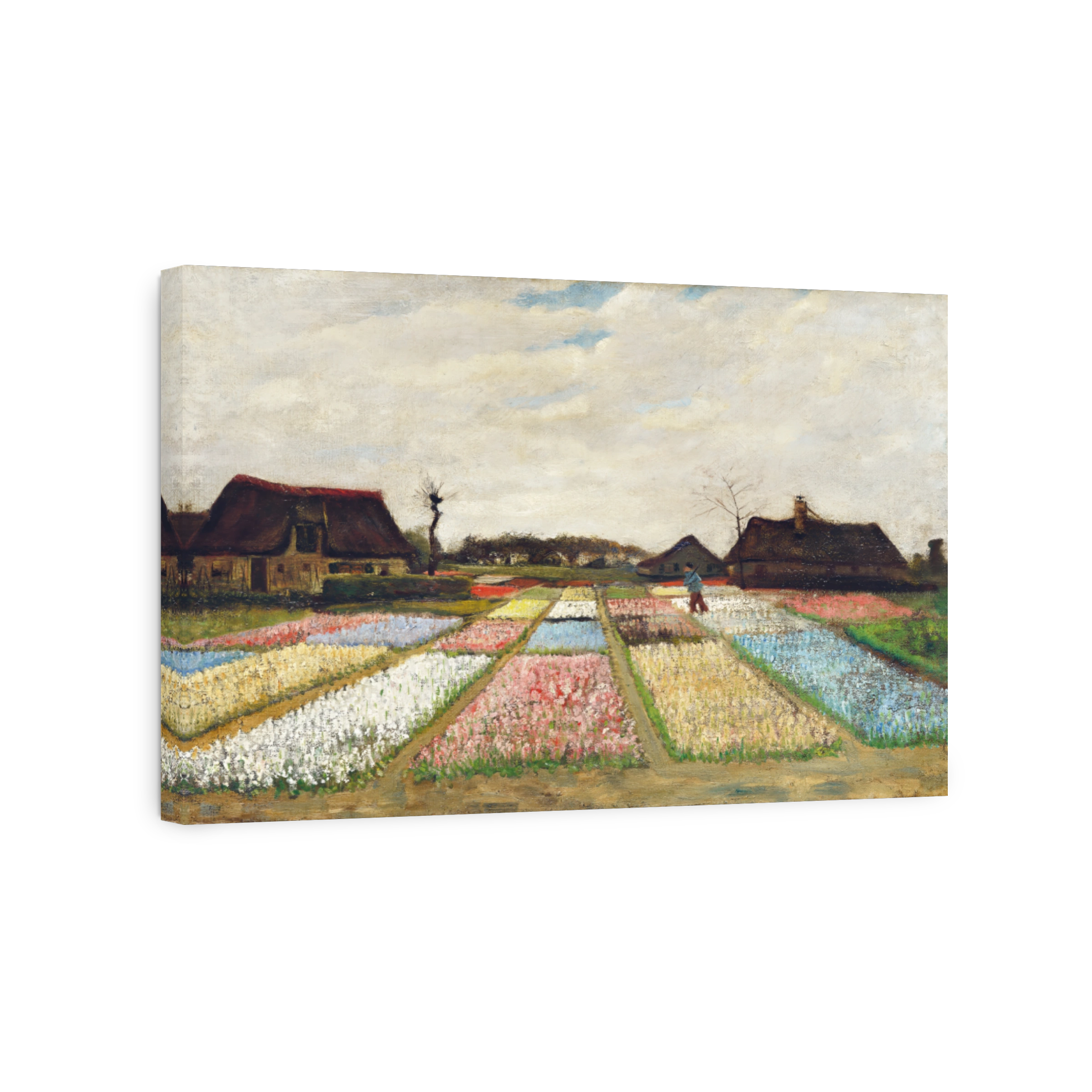 Flower Beds In Holland (1883)